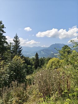 IMG_20250818_145231433.jpg