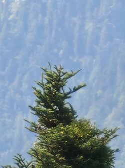 IMG_20250818_145256967.jpg