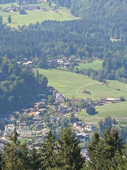 IMG_20250818_154412894.jpg