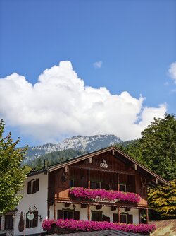 IMG_20250818_142110305.jpg