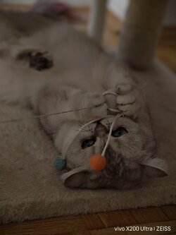 IMG_20250818_165537.jpg