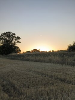 IMG_20250818_201951.jpg