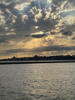 IMG_3963.jpeg IMG_3963.jpeg