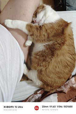 MVIMG_20250819_025652.jpg
