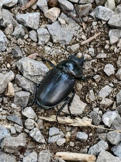 IMG_20250716_174858.jpg