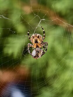 IMG_20250814_104643.jpg