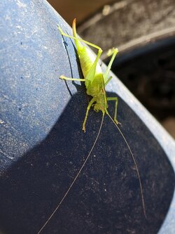 IMG_20250812_121328.jpg