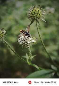 IMG_20250817_202832.jpg