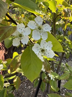IMG_5653 2.jpeg