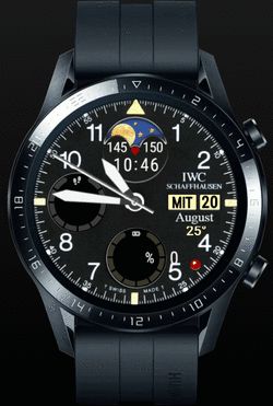 WFCIWC1gt2_animation.gif