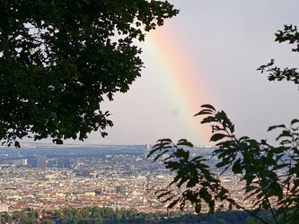 IMG_20250713_190342.jpg