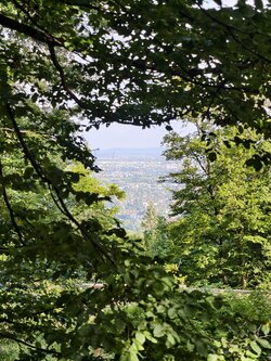 IMG_20250716_165110.jpg