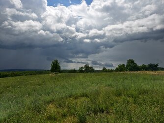 IMG_20250717_144141.jpg