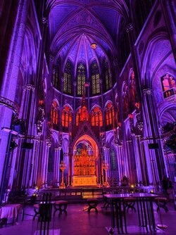 IMG_20250709_211331.jpg