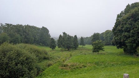 PSX_20250820_162026.jpg