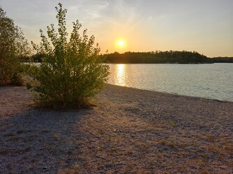 IMG_20250820_193353.jpg