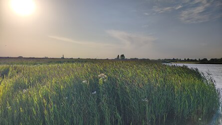 IMG_20250813_185506014_HDR.jpg