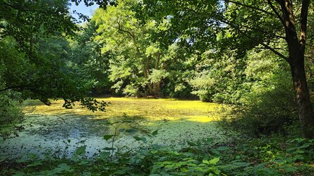 IMG_20250815_124032397_HDR.jpg
