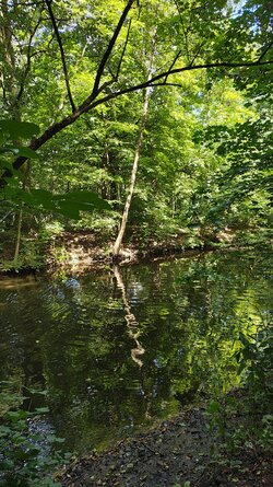 IMG_20250817_132449141_HDR.jpg