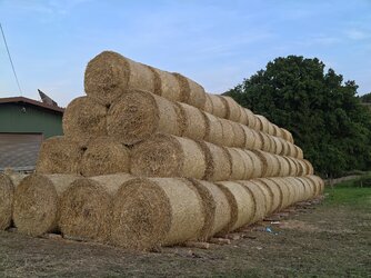 IMG_20250820_202118.jpg
