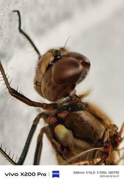 IMG_20250808_161141.jpg