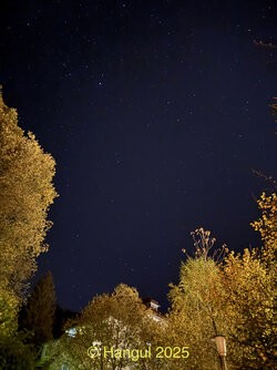 IMG_9893.jpeg