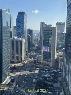 IMG_3915.jpeg