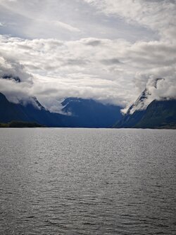 1174.jpg