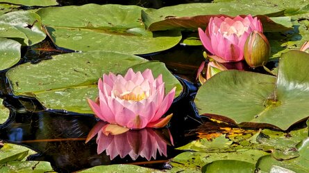 20250819-160424-149HX5a.jpg