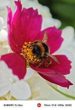 IMG_20250821_170450.jpeg