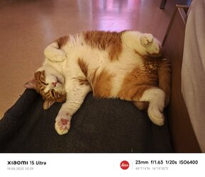 MVIMG_20250819_102934.jpg