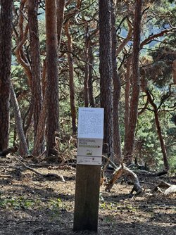 Schild5.jpg