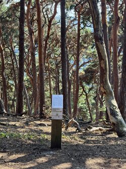 Schild4.jpg