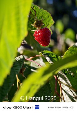 IMG_20250821_164344.jpeg