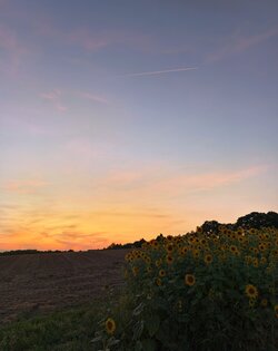 IMG_20250821_205237 (1) (1).jpg