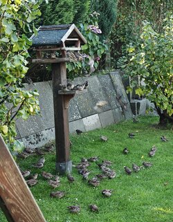 IMG_20250820_181141~2.jpg