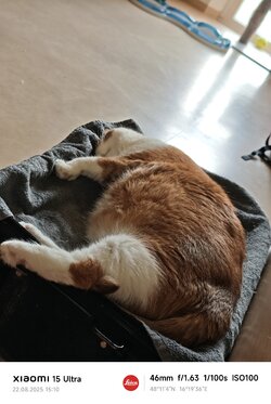 MVIMG_20250822_151008.jpg