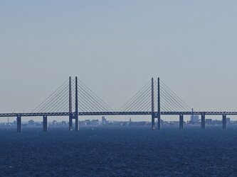 IMG_20250819_105246_1.jpg