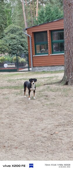 IMG_20250822_180447.jpg
