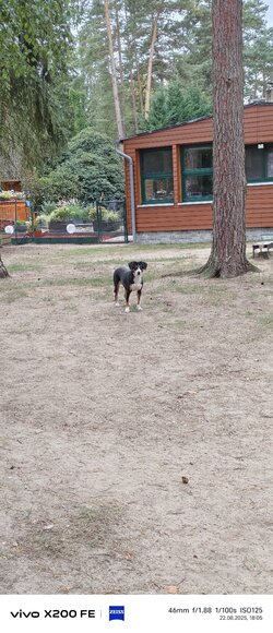 IMG_20250822_180509.jpg