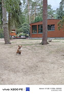 IMG_20250822_190836.jpg