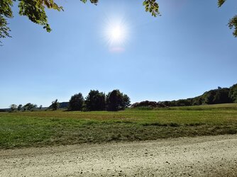 IMG_20250818_162530.jpg