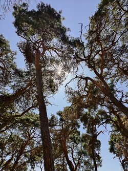 IMG_20250818_150517.jpg