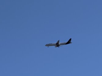 IMG_20250817_150508.jpg