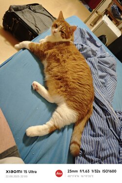 MVIMG_20250822_220031.jpg