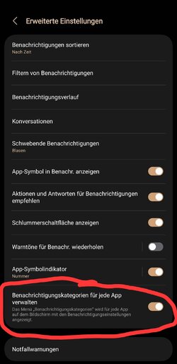 Screenshot_20250822_222244_Settings.jpg