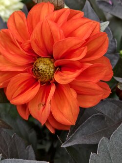 IMG_20250823_135138.jpg