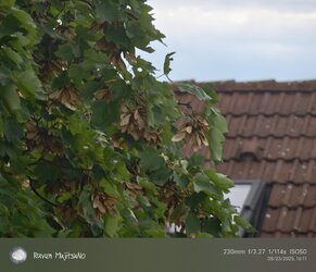 IMG_20250823_161106.jpg