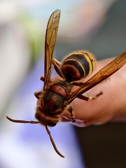 IMG_20250823_123859.jpg
