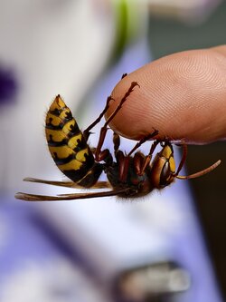 IMG_20250823_123915.jpg